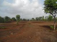 commercial and residential plot for sale in raxaul railway station
