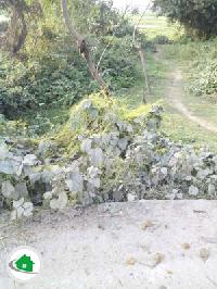 Jafargang katihar for sell in katihar