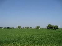 Land on Lease in Fatehour On road naubatpur masaurdi road