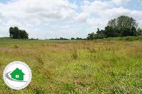 Clear plot for sell Near Aiims Patna