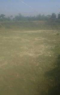 5 Katha land- Residential - commercial for sale in Darbhanga