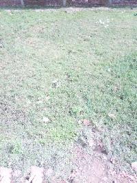 Commercial Plot for Sale in Buxar
