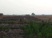 Residential plot - land for sale in Buxar