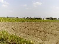 Invest your money in Land for Sale in Patna