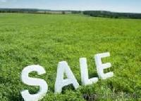 Invest your money in Land-