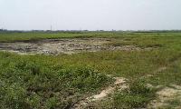 Commercial and Residential Plot for Sale in Araria