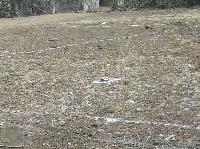 Plots for sale in Baruni