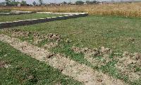 Plot for sale in Jamalpur