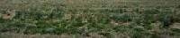 Sale For Land in Jamalpur