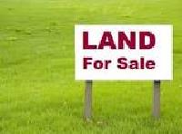 Plots- Lands- Flats - coomercial space available for sale across patna