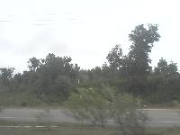 Plotbased on 4lane available on lease