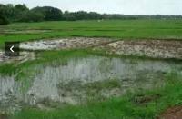Residential Plot For Sale In Agarwa Motihari