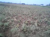 Example: Commercial Plot For Sale Near Railway Station