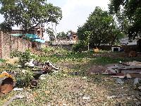 Commercial Plot For Rent-lease In Sherghati Town Main Road.