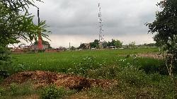 Commercial Land Beside Nh30(arrah-mohania)
