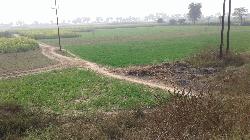 Land for Sale in Patna