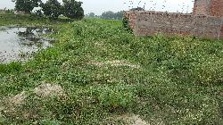 Residendial Land For Sale In Agarwa