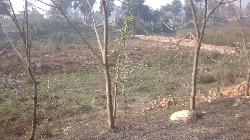 Commercial Plot For Sale On Nh 28 Near Motipur