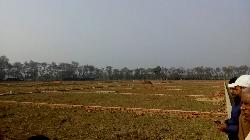 Residential Plot In Rajgir for Sale in Bihar Sharif