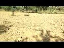 Plots In Tcw-the Sai Greens In Sasaram Pramod 9334457237, 9334763771