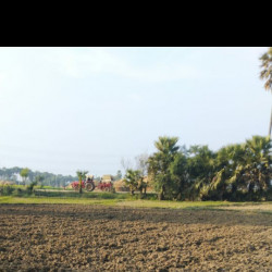Residential Plot On Road For Sale