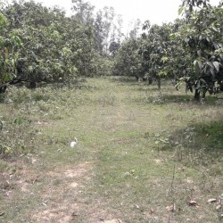 Agriculture Land For Sale
