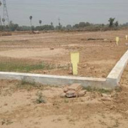 Highway Plot On, Urgent Sell