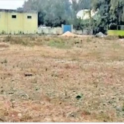 Land For Sell In Bhabua Vip Colony,  No Brokrage
