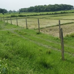Plot  For Sale