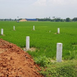 Residential Plot for Sale