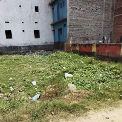 Residential Plots