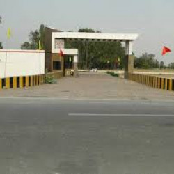 4 Lakh Plot On Gramin Road (alang) .best @