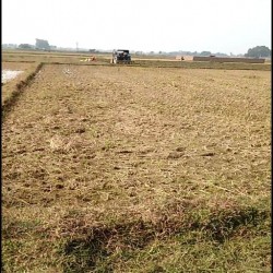 A Plot Of 2 Kathha Near Dak Baba And Petrol Pump Kadirganj Nawada
