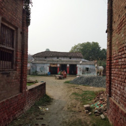 Residential Plot Behind Chainpur Highschool, Chainpur Mubarakpur