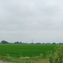Investment Plots Available In Iit Bihta