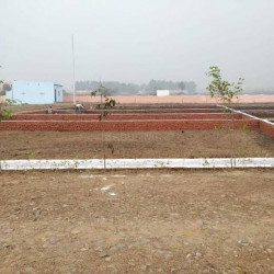 Plot In Saguna Location 