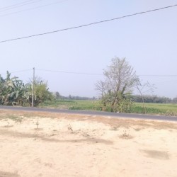 11 Kattha Plus Land For Sale Near Godhwa Chowk ( Half Km From Lpg Godown)