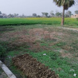 Residential Plot For Sale