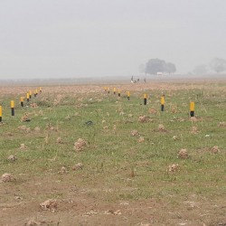 Plot Sale In Parmaanand Pur Railway Station(sonpur) On Nh