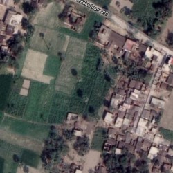 1 Bigha Farm Land For Sale In Balbhadrapur, Samastipur