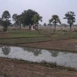 I Want To Buy  A Agriculture Farm