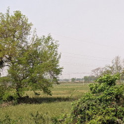 Commercial And Residential Both Are Available In Bihta Near Nh 139