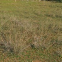 Commercial-residential Plot For Sale