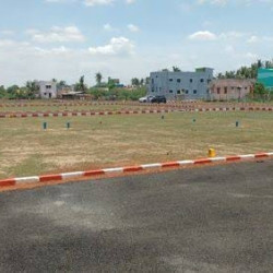 Plot In Patna For Residential Purposes 