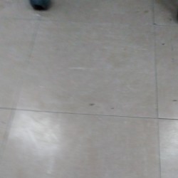 Flat For Rent In Siwan.call : 9931491723
