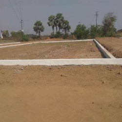 28 Lakh Commercial Plot In Danapur Area 