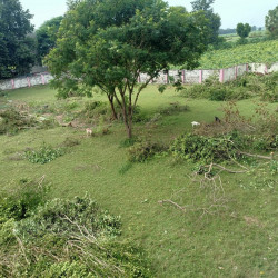 Residential Plot For Sale 