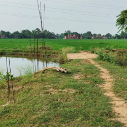 1st Time Cheapest ,residential Plot In Bihta, 