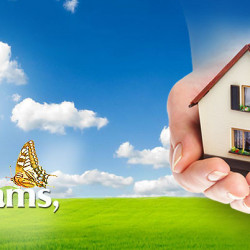 Best Property In Darbhanga Bihar 