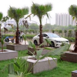 Plot For Sell In Naubatpur Highway 